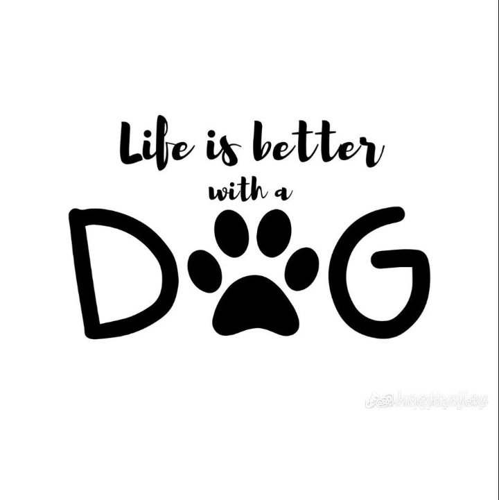 Tashaknot1's tweet photo. #zooporn #bestiality #germany #USdogs https://t.co/tvXiJnOrwP