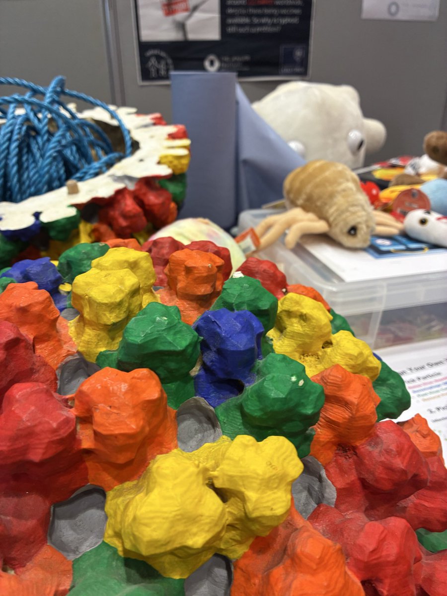 A model of elements of the malaria process with soft toys including a mosquito grub behind it.
