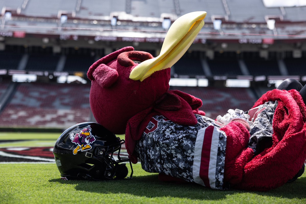 GamecockFB's tweet photo. Today we’re celebrating Cocky’s induction into the Mascot Hall of Fame with a special helmet decal 🤙 https://t.co/kuHMpQEPAa