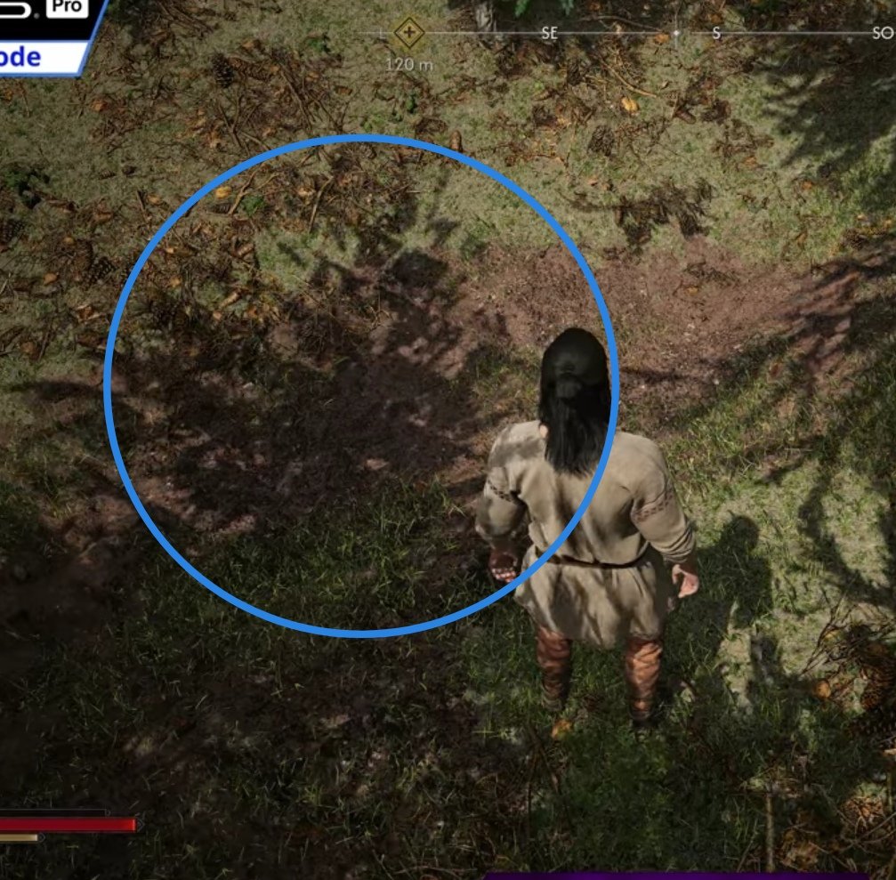 LDRCamus's tweet photo. @DawnwalkerGame please fix the shadow issues on ps5 https://t.co/JX9fV6iDeg