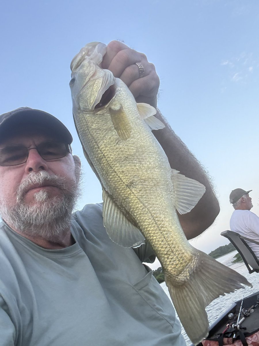 richardfaircl17's tweet photo. We caught some bass this morning 🎣 https://t.co/MEsMWRJnpb