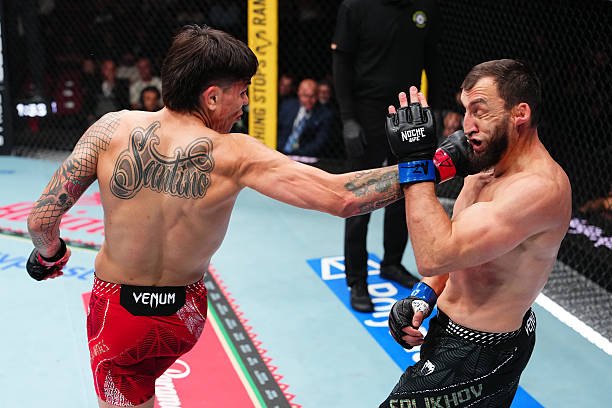 ClubDeLasMMA's tweet photo. Gana por decisión unanime 30-27/29-28/30-27 Ignacio Bahamondes 🇨🇱 a Muslim Salikhov 

Gran triunfo en su debut en las 170lbs ante un siempre duro Salikhov 

#NocheUFC https://t.co/k5wCjgMQL8