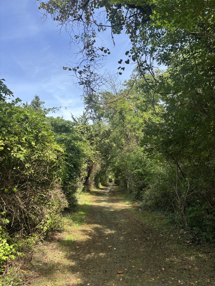kerriber__'s tweet photo. walked 2 miles https://t.co/VjB3QCvfNL