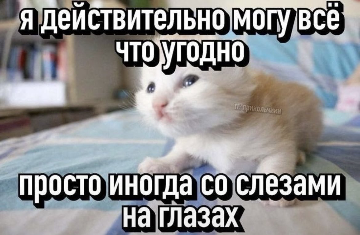 linksids's tweet photo. и все таки, ностальгия - хуже депрессии(не обесцениваю ес че) https://t.co/7HjzcenmOV