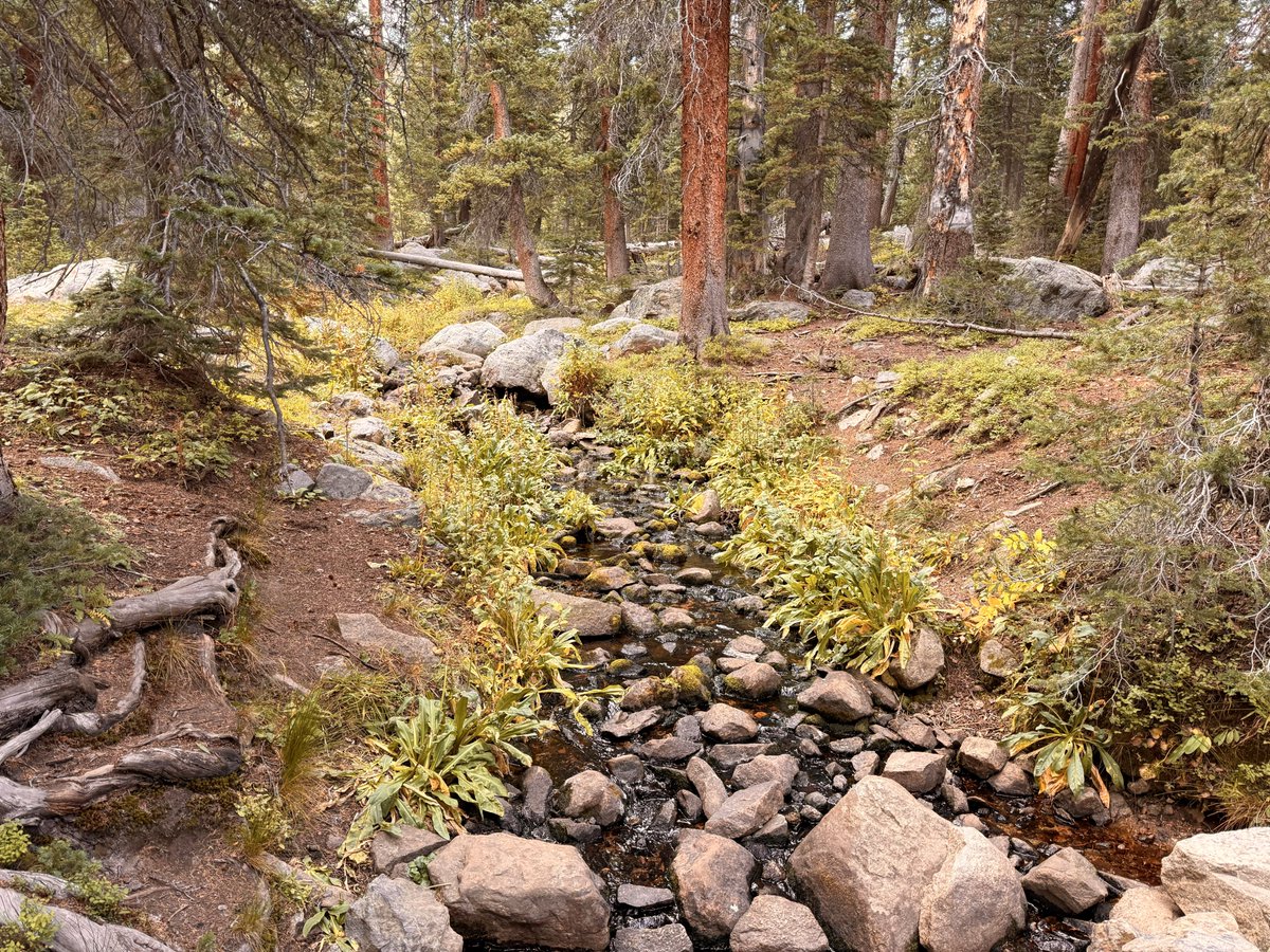 wildsabercat's tweet photo. Hike to Lake Isabelle 🌲🏕️

📸 octane__og https://t.co/wa9yKiGK4A