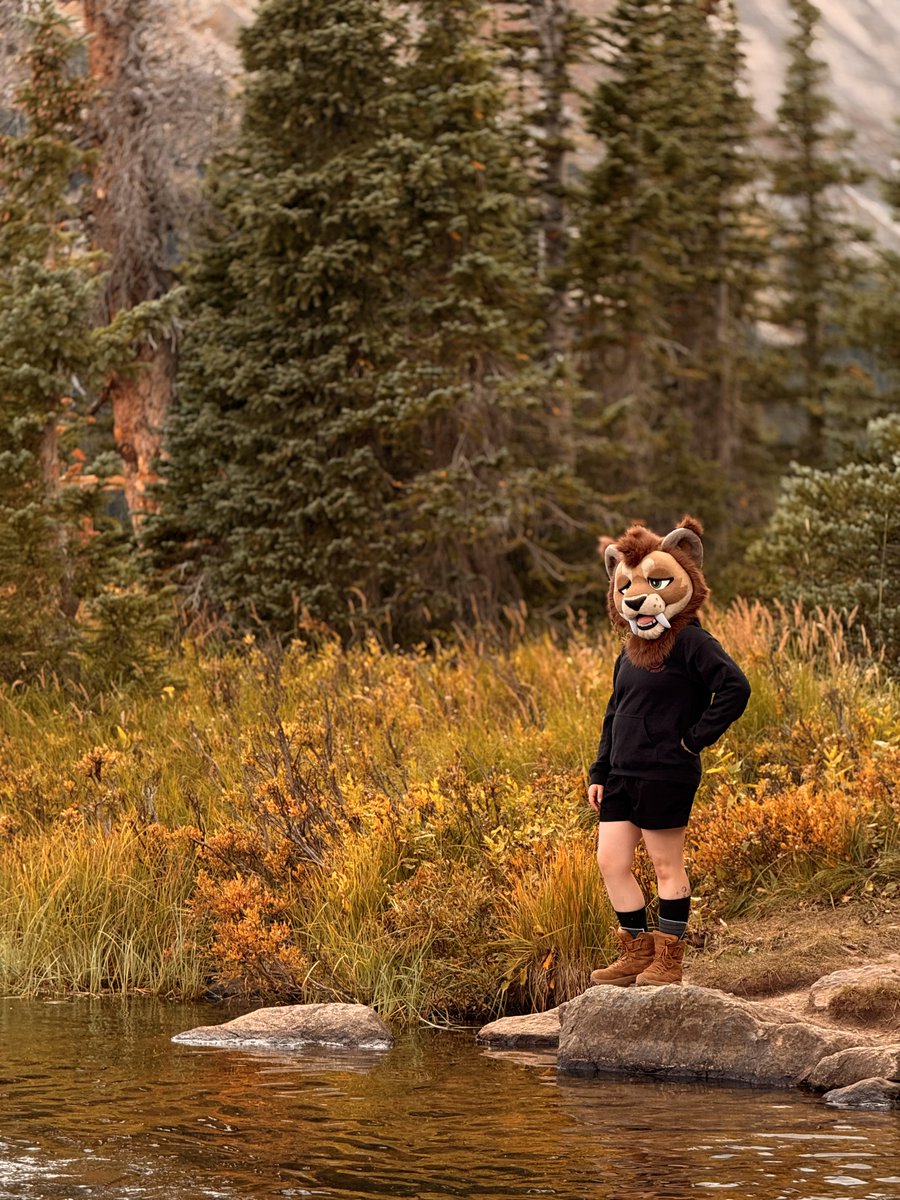 wildsabercat's tweet photo. Hike to Lake Isabelle 🌲🏕️

📸 octane__og https://t.co/wa9yKiGK4A