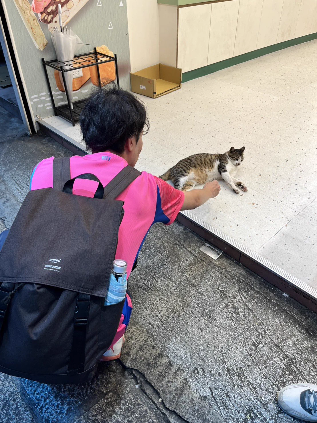 猫好きオバさま専用！ だーはら🍑⚡ on X: 