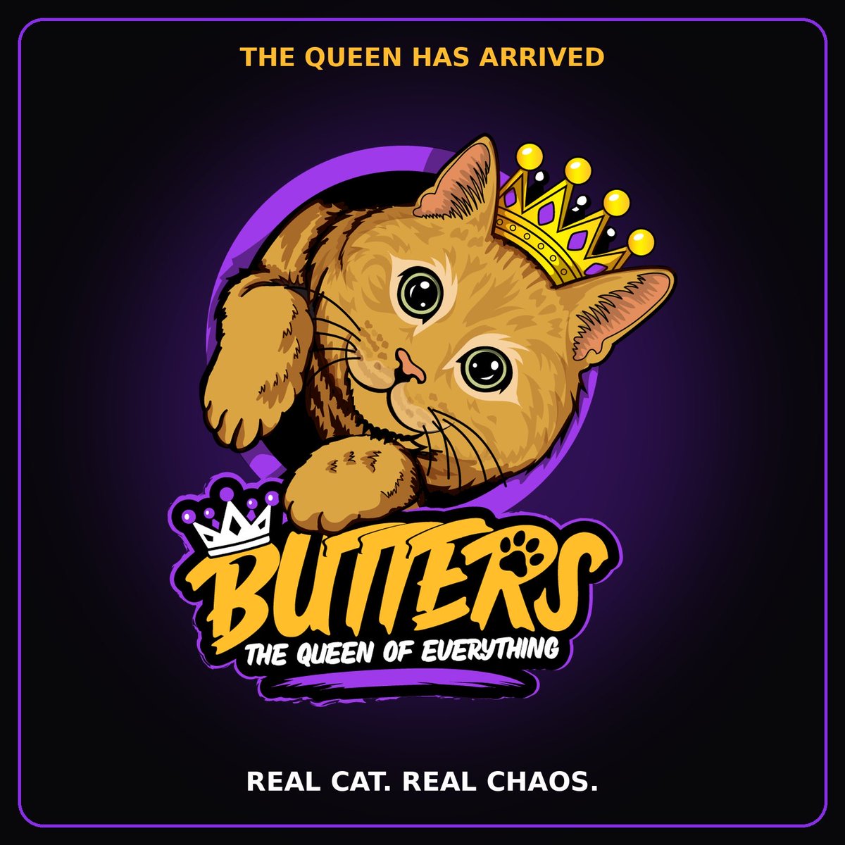 MeetButters's tweet photo. 👑 $BUTTERS is just getting started.

We didn’t create a token and then look for a story.

We had the story first.

🐈 A real cat
🎨 Original commissioned artwork
🛍️ A real growing brand
🌐 Live website & merch
👑 Trademark pending
🪙 And now, $BUTTERS

Brand first. Token second. Community always.

Everything’s Better With Butters. 👑🐈

$BUTTERS #Solana
