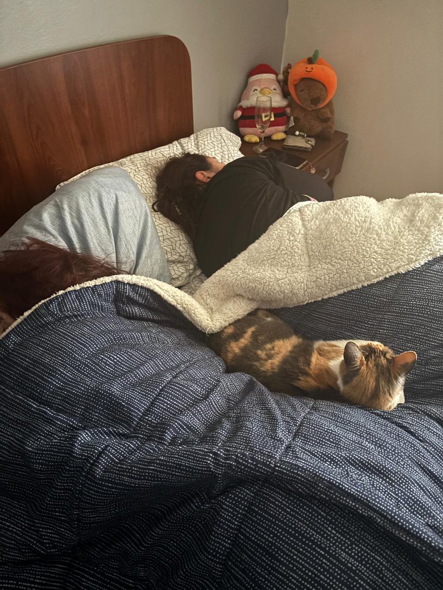 c4tokyio's tweet photo. tengo en mi cama una morrita q ni sé como se llama https://t.co/ZTtRT6cdmB