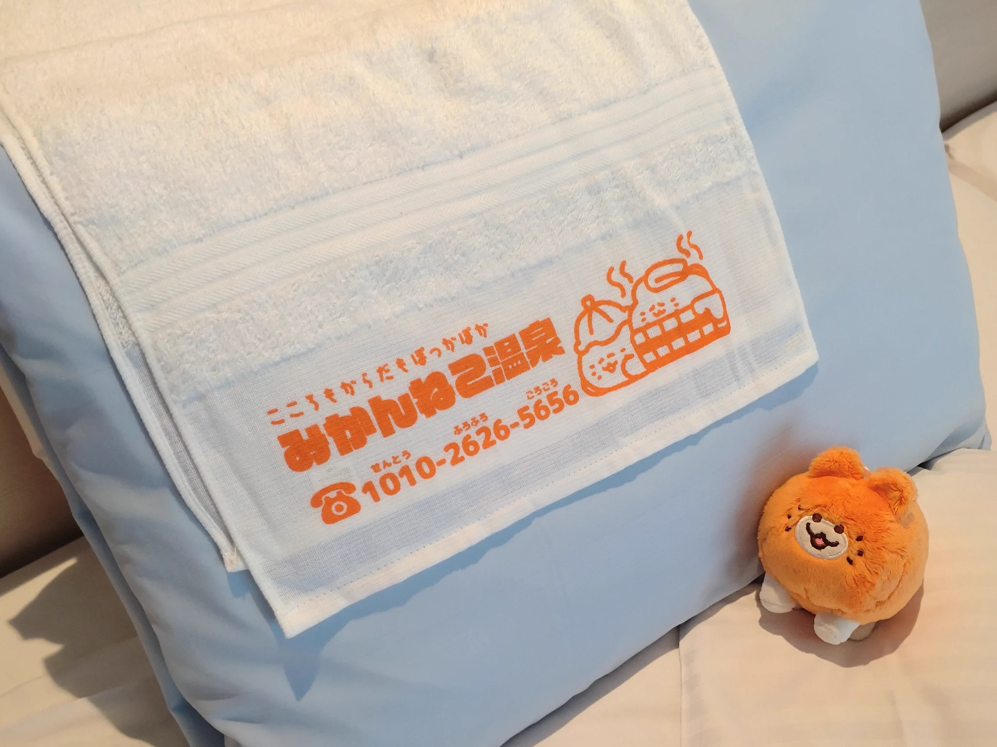 きのこ│みかんねこ🍊🐱arteVarie142【X54】 on X: 