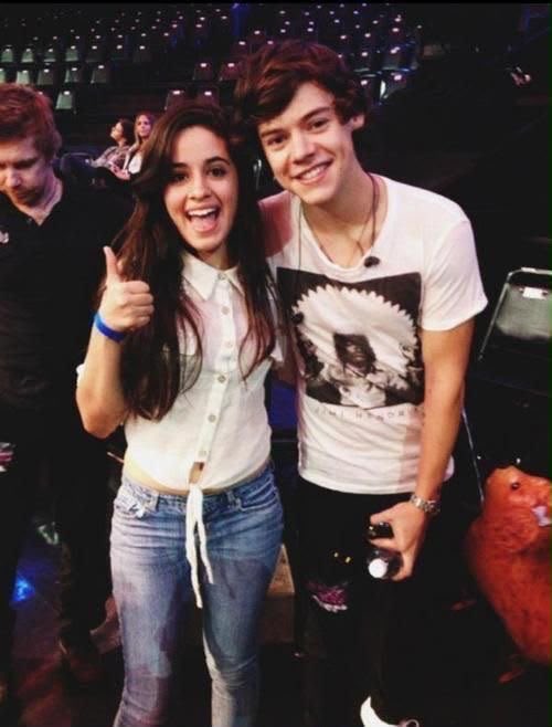 CamilaCabelloBR's tweet photo. 🚨 Camila Cabello está presente no show do Harry Styles no Madison Square Garden, em New York. https://t.co/31XysDtMeE