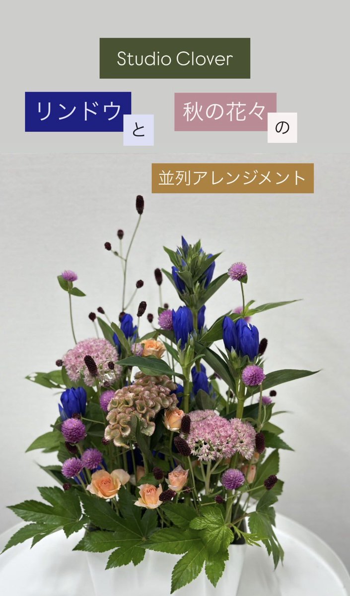 flower_8739's tweet photo. Studio Clover 9月

〝 リンドウと秋の花々の並列アレンジ 〟

パキッとした青が映える秋色アレンジ🍂

ケイトウやセダムを入れて華やかさをプラスしました！

#花はハナサク #フラワーレッスン #TLを花でいっぱいにしよう #アレンジメントレッスン 
#リンドウ https://t.co/B8Bv29LWHU