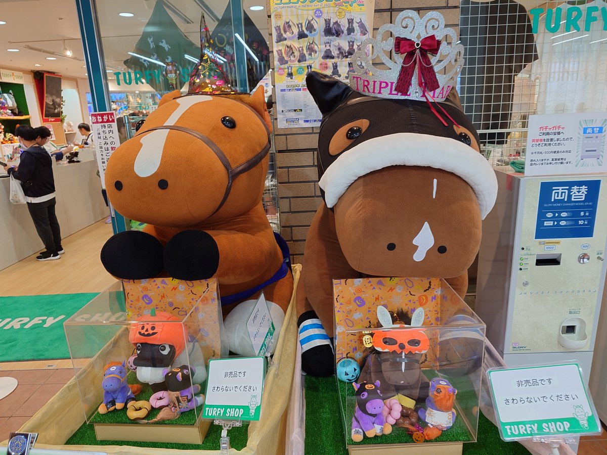 suezou02's tweet photo. 矢中山ターフィーショップのゴールドシップとナイスネイチャを見てきた〜
クロノジェネシスのぬいぐるを見つけたので買ってしまった😁 https://t.co/X8fihirAFa