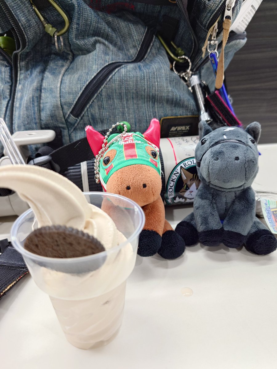 suezou02's tweet photo. 矢中山ターフィーショップのゴールドシップとナイスネイチャを見てきた〜
クロノジェネシスのぬいぐるを見つけたので買ってしまった😁 https://t.co/X8fihirAFa