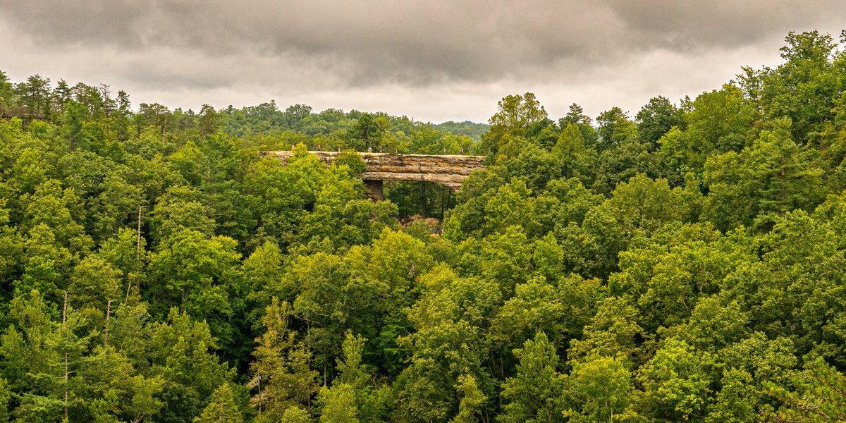 TedGrzelka's tweet photo. Some bridges you drive over. This one you stand under and remember why you came. 
@ Natural Bridge Kentucky. https://t.co/Egsg8bdjNO