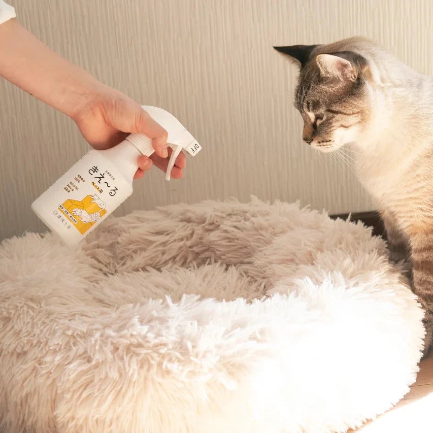 ねこちゃんのベッドにカンキョウダイゼンのきえ〜るをスプレーしているところ。ねこちゃんが見ています。