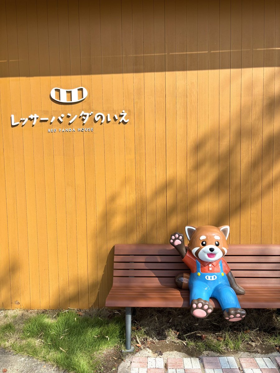 resapandandan's tweet photo. おぱぱんだ〜！レッサーパンダの聖地でレッサーパンダ仲間と面会してきました꜀(  ꜆ᐢ.  ̫.ᐢ)꜆♡今日はひさしぶりの快晴でめちゃあつだけどがんばってはしごを昇り降りして巡回してた🦝💦 https://t.co/kkzQg5cmVr