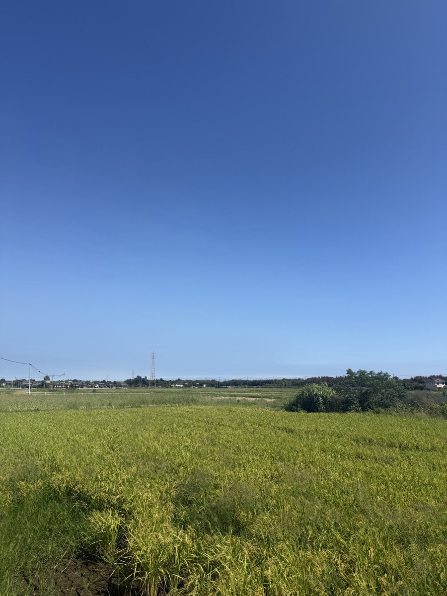 Mt_TENGU's tweet photo. のどかな風景◎ https://t.co/j0dZCs0CUu