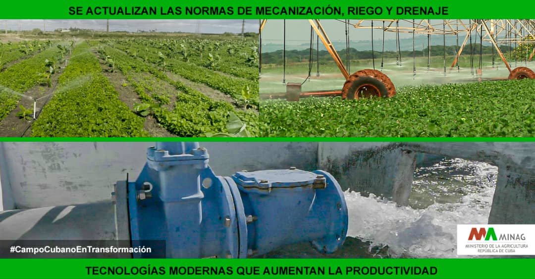 YdaelB's tweet photo. Los productores pueden comercializar sus productos libremente, sin intermediarios obligatorios. Las cooperativas y Mipymes pueden realizar comercio exterior directamente. #CubaProduce #CampoCubanoEnTransformación
@MinagCuba https://t.co/pYJvXPUL5q