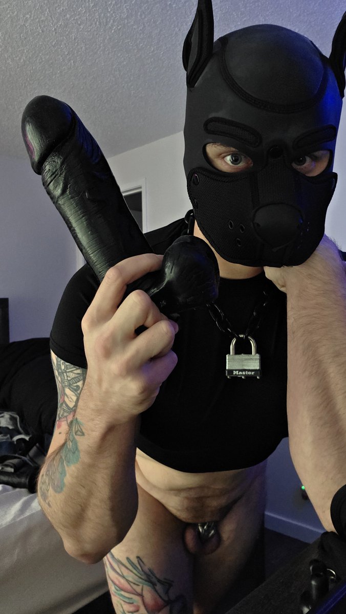 pup_Typhoon's tweet photo. Day #6 Locked 🔐 . I have FALLEN. IN. LOVE. W/ Plapping. Cumming 💦 hands free from striking my swollen balls over, and over, and until all I feel is a warm delicious numbness that translates into hyper sensitive tingling. 🫠 Fuck, I love being a Subby lil pup FAG. 🥵
Any Takers? https://t.co/d66i0NFjKk
