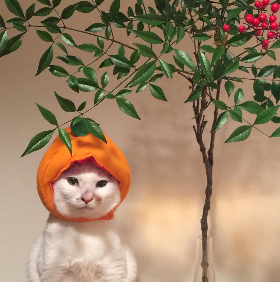 DarbyNicklos's tweet photo. 心の中の騒がしさを消すスイッチってどこにあるんだろ。まあ、壊れてるか最初からないのか、どっちにしても面倒くさいだけか。 https://t.co/vzuXbXnBg9