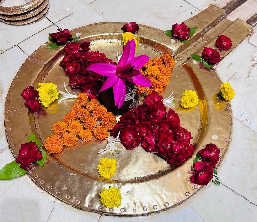 Sonal45_'s tweet photo. शिव भक्त होने का मतलब यह नहीं कि आप कभी गिरेंगे नहीं
पर जब आप गिरेंगे तो शिव आपको स्वयं थाम लेंगे 😌🌺✍🏻 https://t.co/2IJoLacnvh