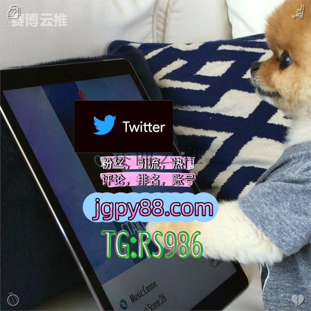 liddy__silva's tweet photo. 愿你前路有光回首有暖身边有人常相伴🎆
推特账号购买推特脚本 
推特矩阵系统、Twitter矩阵系统、X矩阵系统 海外获客🌺互推助手🎌数字货���🍁 评论截流🎉股票代码🌟辅助工具🔥品牌增长👍
点赞号 代发
注册号 推广 https://t.co/mY7BM1bghH