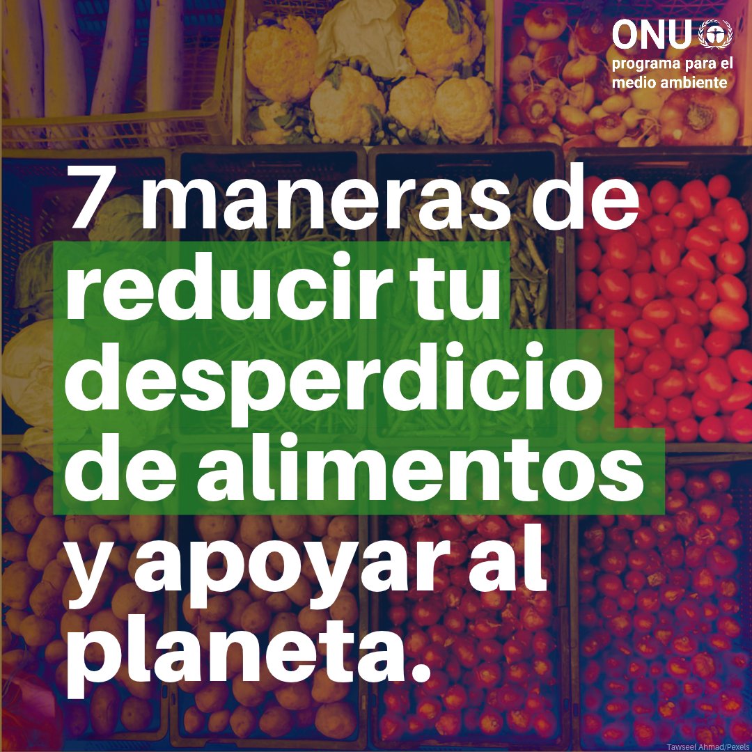 unep_espanol's tweet photo. En conjunto, la humanidad desperdicia más de 1.000 millones de toneladas de alimentos cada año: un enorme despilfarro de recursos y uno de los principales factores que impulsan el cambio climático.

¿Qué podemos hacer?

Estas siete acciones, para comenzar: https://t.co/J3brJ0F0hy https://t.co/AryRxxZIjr
