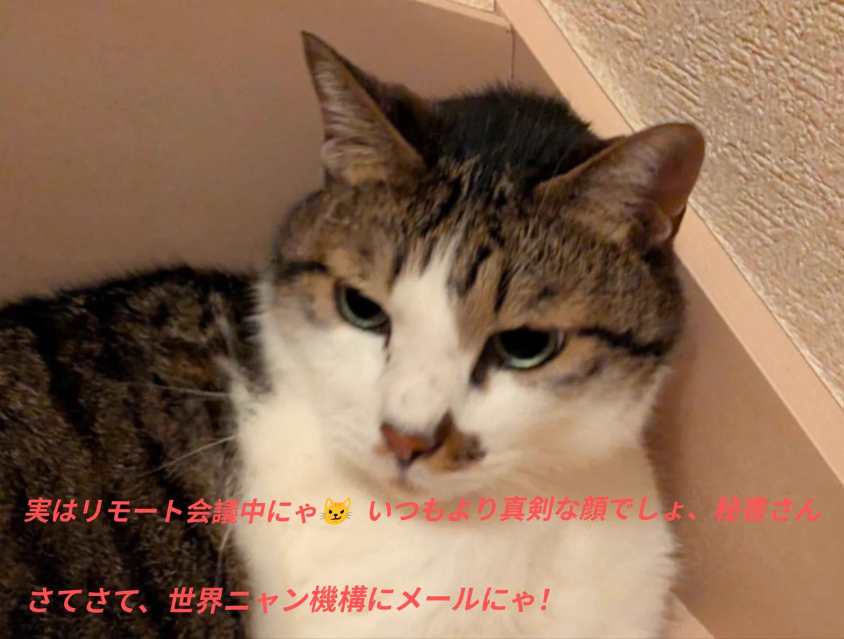 HSD9GKBboAAbgOA?format=webp&