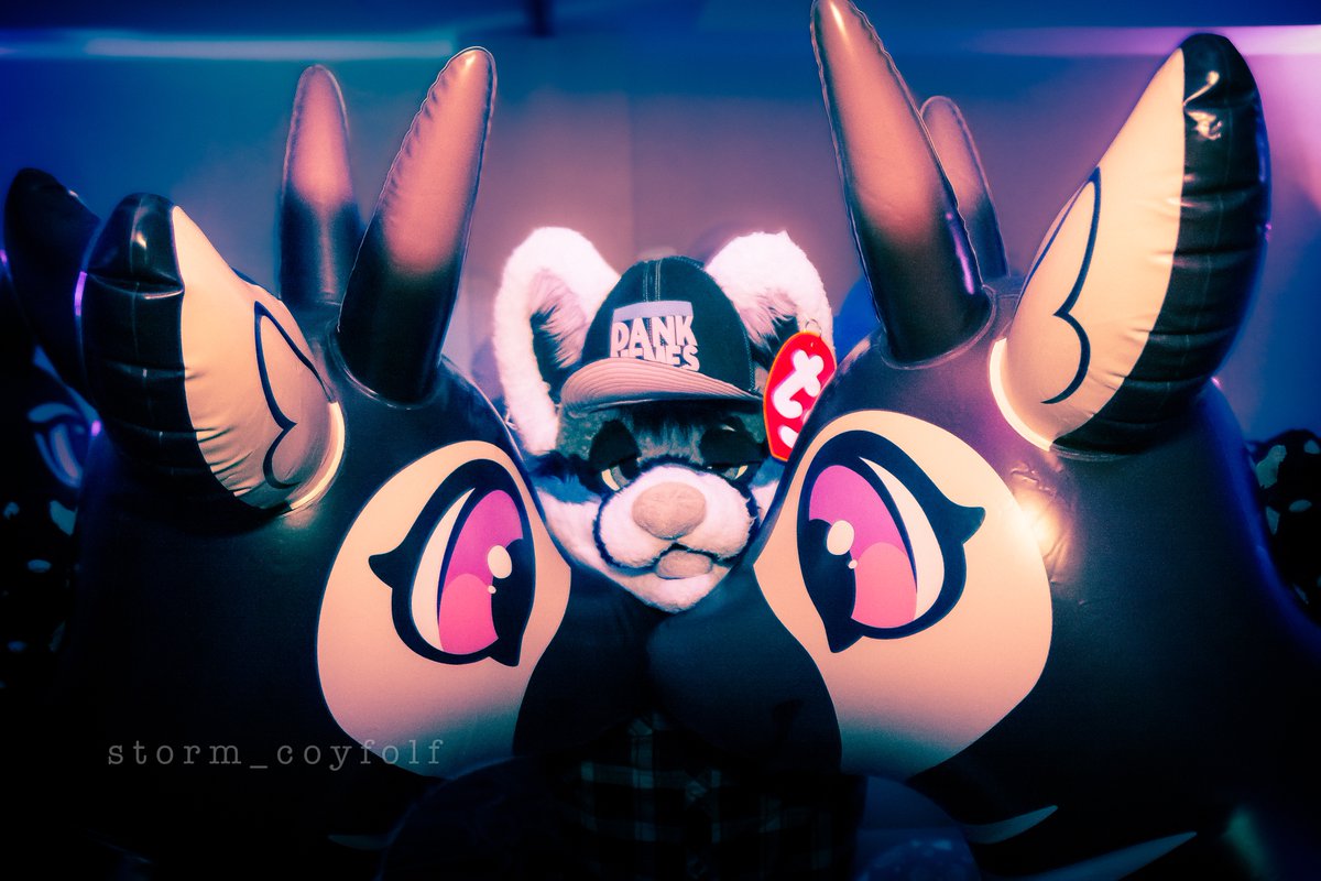 Storm_Coyfolf's tweet photo. https://t.co/GTa1oqkJvR