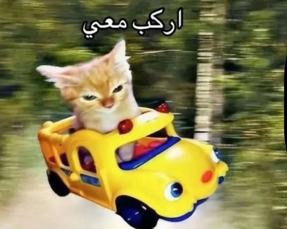 Kayeose's tweet photo. زوكس كل ما شاف كوارتز https://t.co/jPFCIASsDs