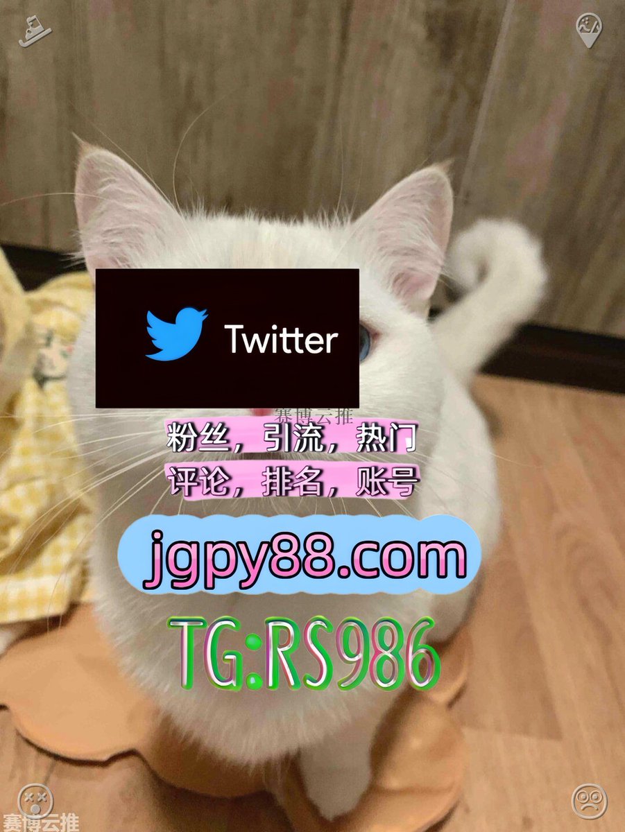 AlanSevidanes's tweet photo. 心若从容无所畏惧岁月自有最好的安排🥨
推特账号购买海外获客🌺互推助手🎌数字货币🍁 
海外获客🪐主人的任务🌱 自动脚本 推特账号
粉丝号 霸屏🪐群发私信💐海外获客🍀
热门号 评论截流🎉股票代码🌟辅助工具🔥品牌增长👍 https://t.co/ki4xbqIV2U