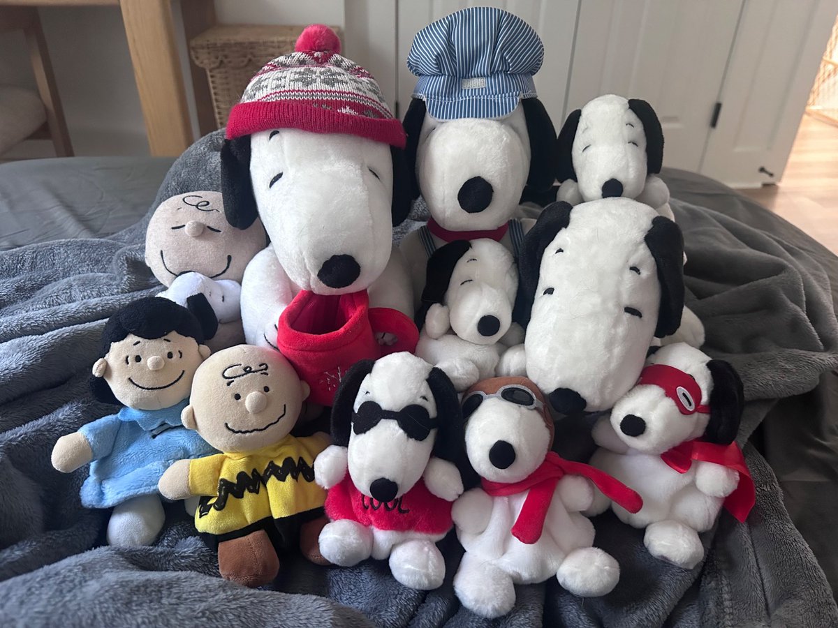 DailySnoopys's tweet photo. https://t.co/Y794rbS02T