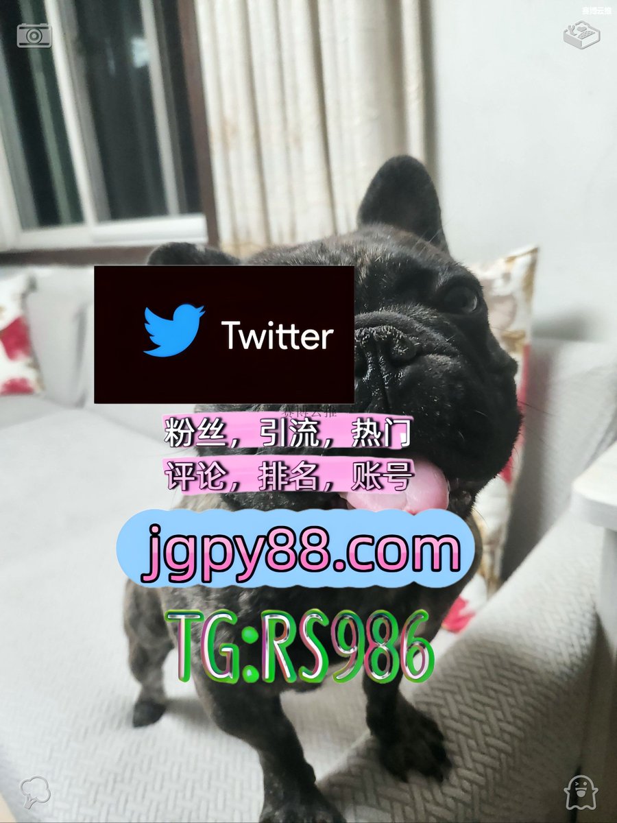 liddy__silva's tweet photo. 生活就是知足常乐平安健康就是最大福❤️
推特账号购买推广 
注册号 自动脚本 矩阵互动🌞輔助工具🌂
代发 海外获客🌺互推助手🎌数字货币🍁
世界杯 多账号管理、批量发帖、内容同步 https://t.co/hiz0m2EJqf
