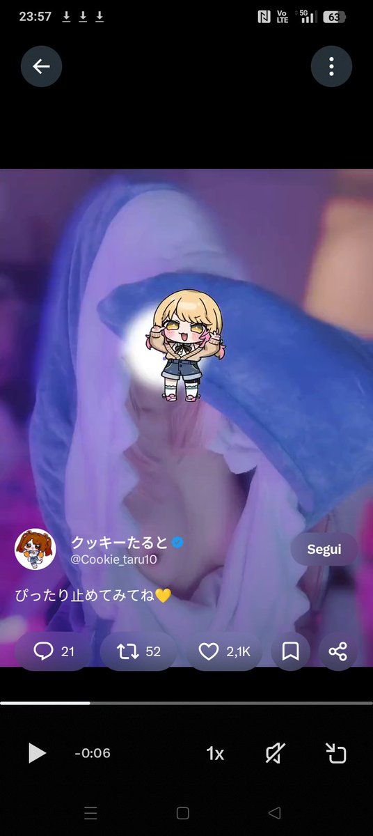 Ailime1994's tweet photo. @Cookie_taru10 Bella ❤️ https://t.co/AdYPKwhRGD