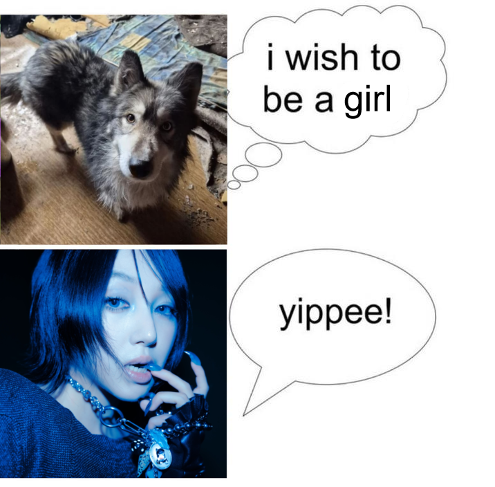 newkinbase's tweet photo. 💙 . * newkin &amp; their rep animals ( ´ ω ` ) https://t.co/RyI6g3nvYG