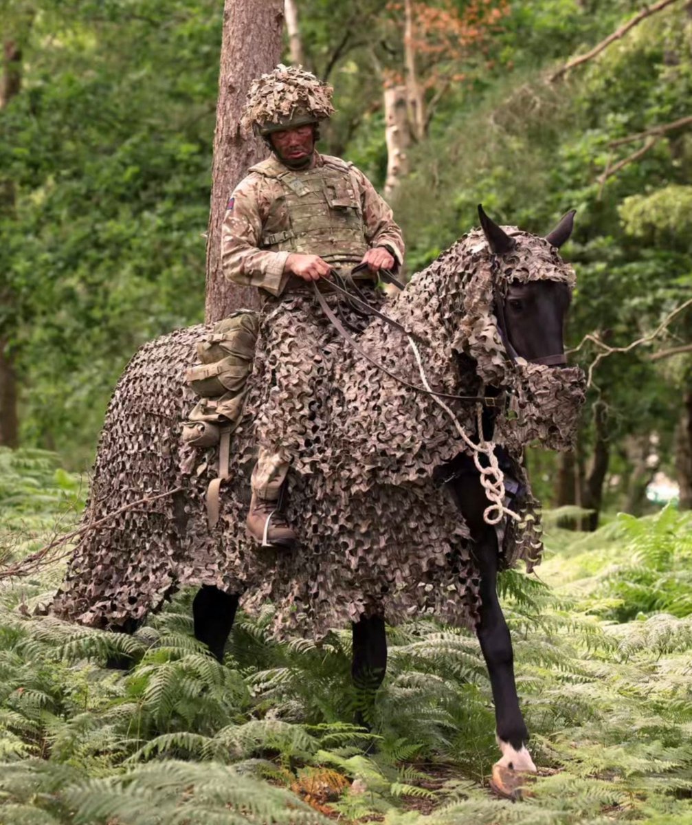 specialopsmag's tweet photo. A British soldier with the Household Cavalry Mounted Regiment rides a horse fitted with a camouflage covering during a training exercise in England, June 2026. https://t.co/JEmy6jJ7bZ