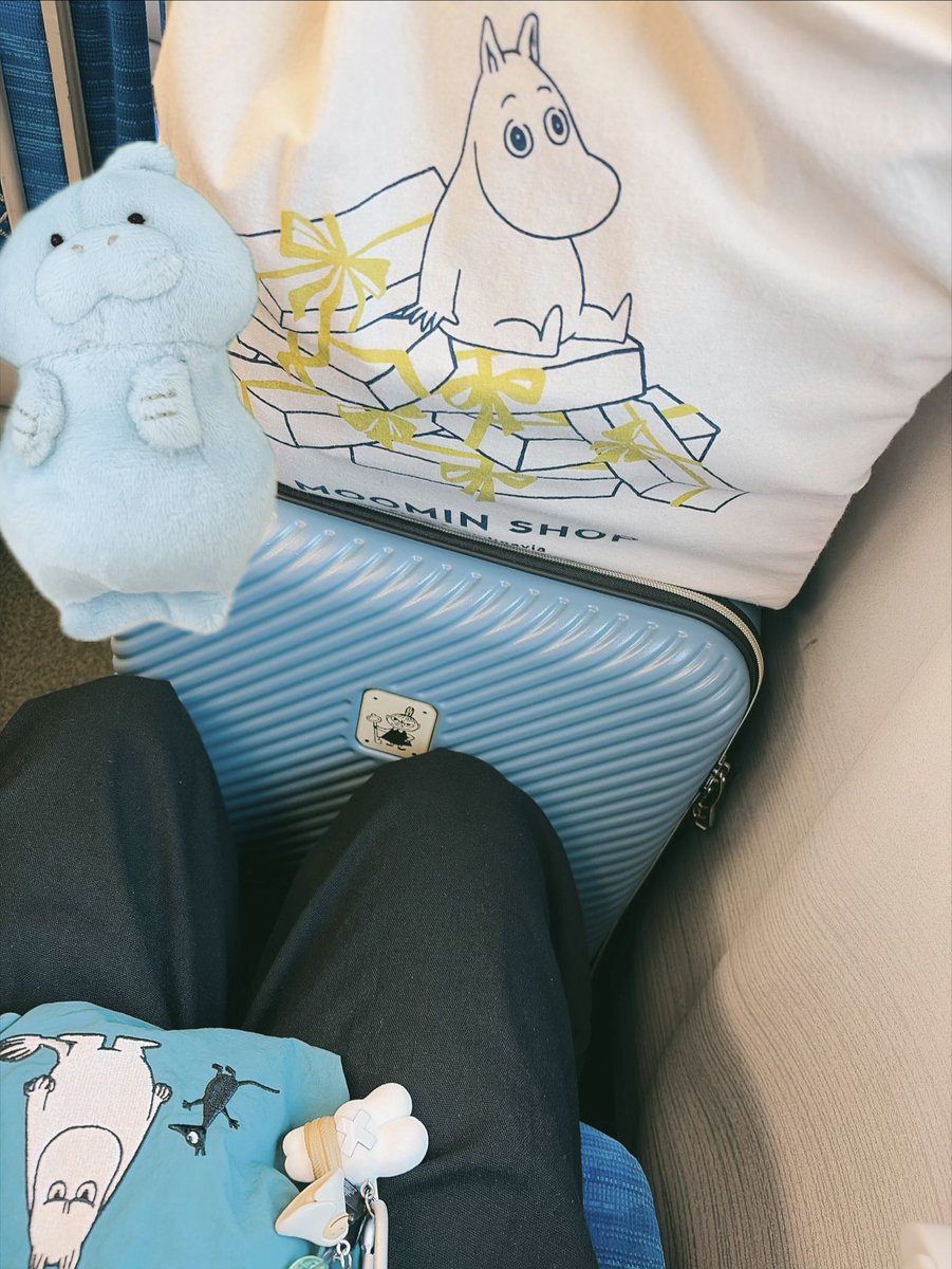 reisuiy's tweet photo. ムーミンすぎる… https://t.co/sIQLFqLr41