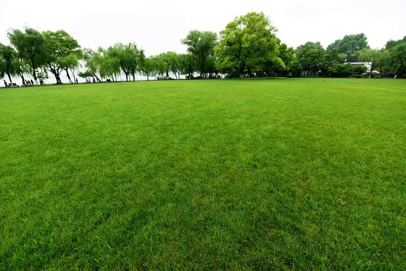 ElenoreDraqf's tweet photo. Vamos todos! El Club de Fotografía tiene una salida de captura de paisajes este sábado 10 de la maana en el parque central, trae tu cámara y únete a nosotros para aprender y compartir! https://t.co/A0j6U6OtSg