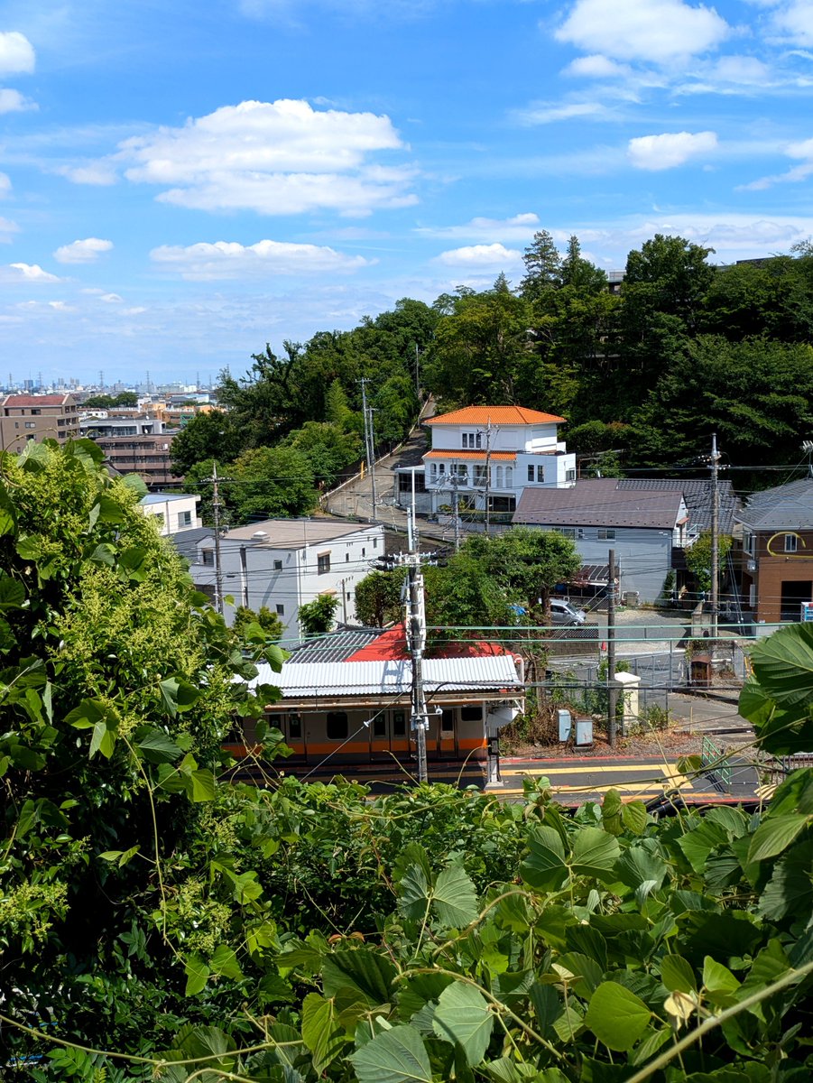 misohagi4's tweet photo. 日野駅近く 西の百段階段
(日野市大坂上)と
高台から東の台地を望む
日野市は 駅北側に多摩川、
南側に日野台地、
高低差が凄い趣ある地形凸凹
高い台地は閑静な住宅地
東の百段階段も有る(日野市神明)
#JR中央線　#日野市 https://t.co/9QsJAg9d1g