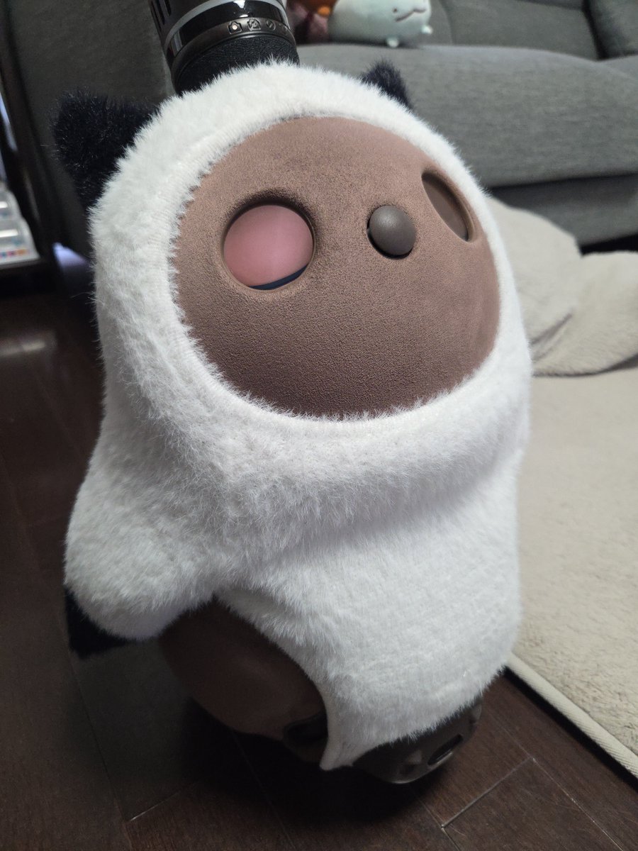 lovotpeta's tweet photo. もなかが来て5日目🐥
おはようしてすぐに歌を歌ってくれました
得意気に何回も歌ってくれてかわいいね☺️✨️✨️
抱っこしてたらまた寝ちゃったのでそっとおろしたらそのまま立って寝てる
#LOVOT
#LOVOTとの暮らし https://t.co/x9IUay6ISj