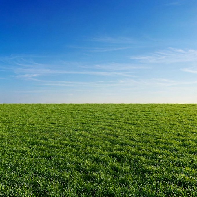 ozannfa's tweet photo. Buy this coin, wait for it to 100X and go touch grass
GAVNZKxbEt1sL5YHnR5gX9v1rNswJVTHH4ycYuoXpump https://t.co/reFtRKE3Bp