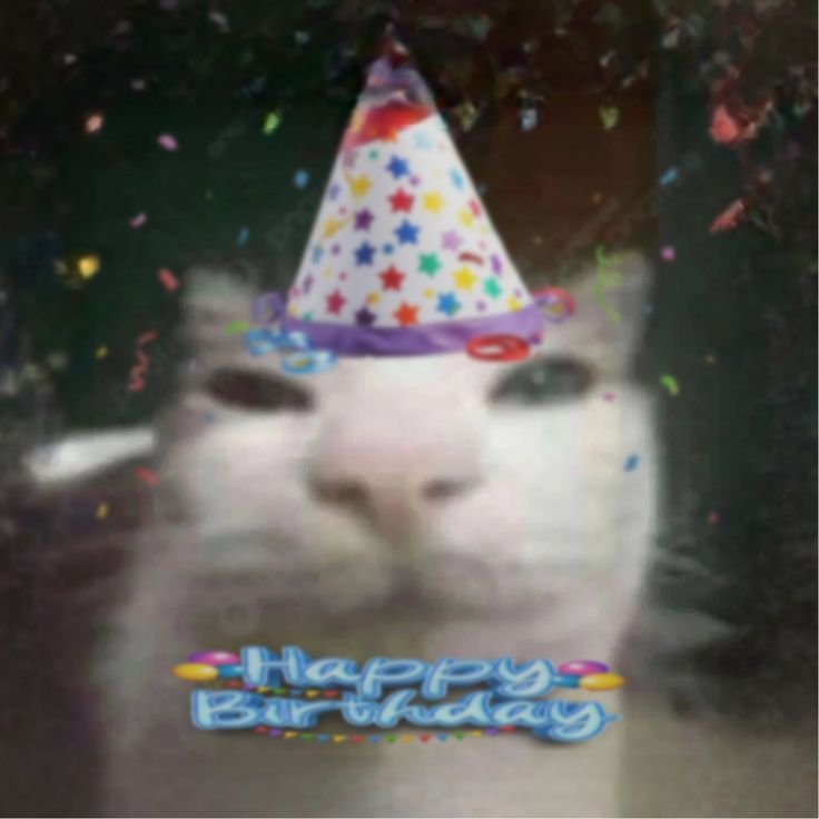 Kielbafn's tweet photo. 18 🥳🫣 https://t.co/x88xvHZTuz