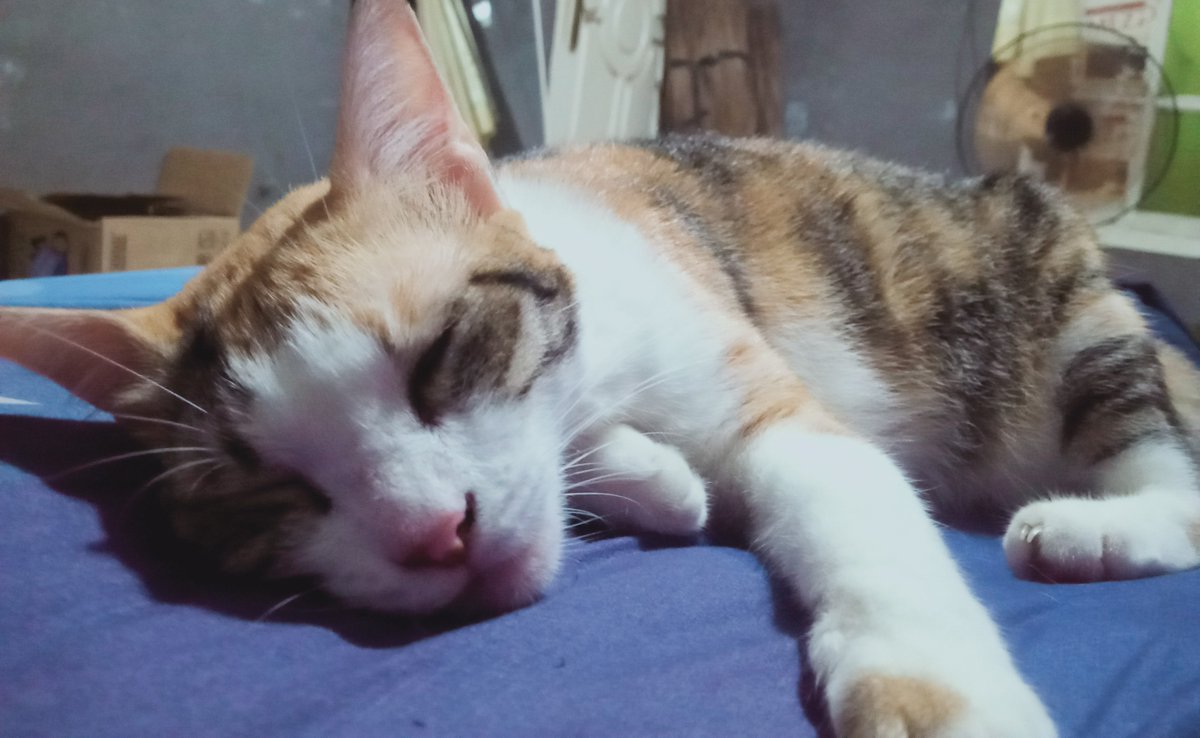 Abaaaannng's tweet photo. Jelek. https://t.co/7PB8OQPdk9