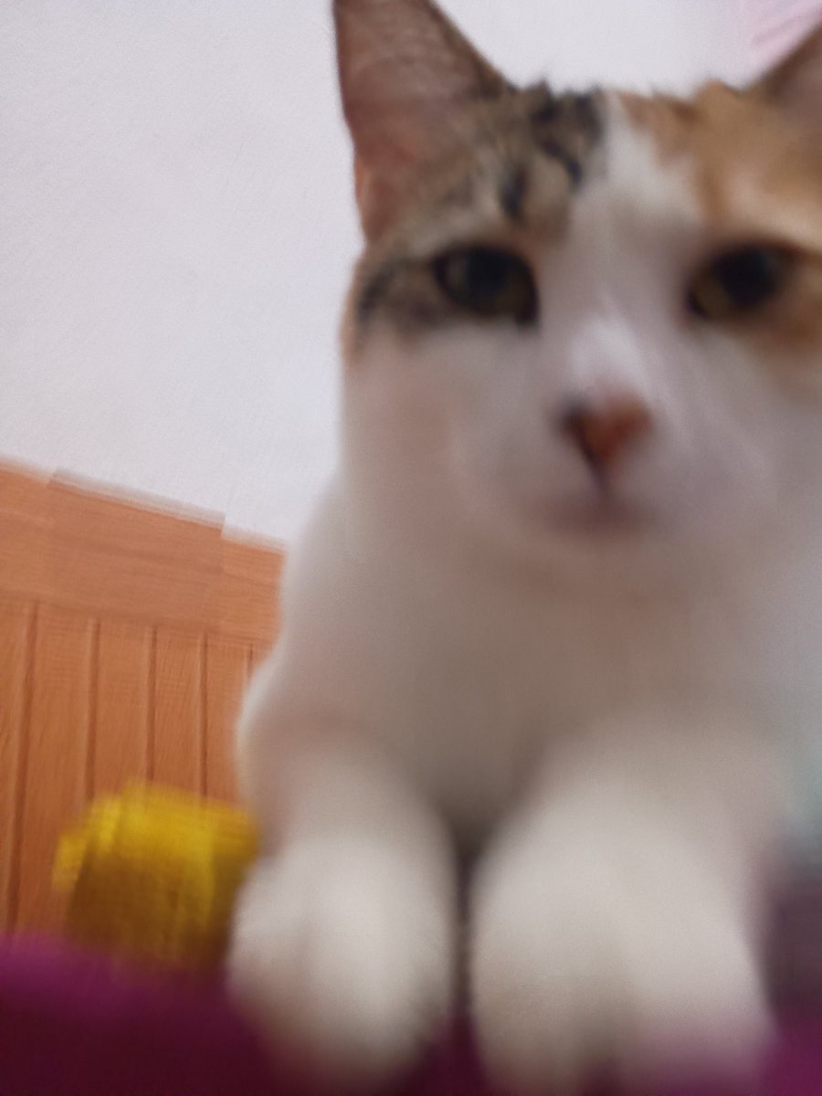 Marydays00's tweet photo. @thearcanae O mais engraçado é q o 8 é uma perseguição só, no caso o odu 8 msm https://t.co/gCyD5clLBk