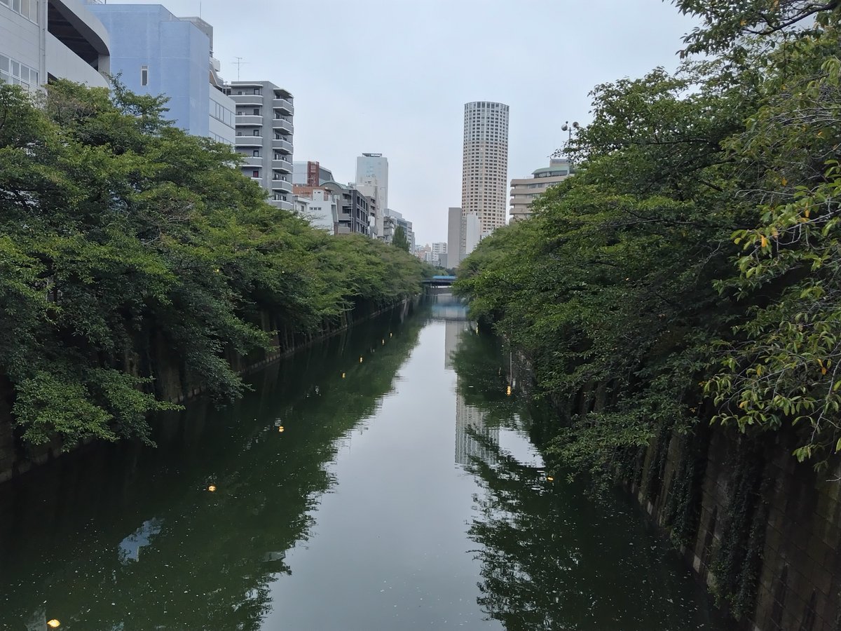 oo_Bauer's tweet photo. 散歩、終了😀今日は目黒川沿い、中目黒〜代官山方面🚶 https://t.co/mld3G3qyzq