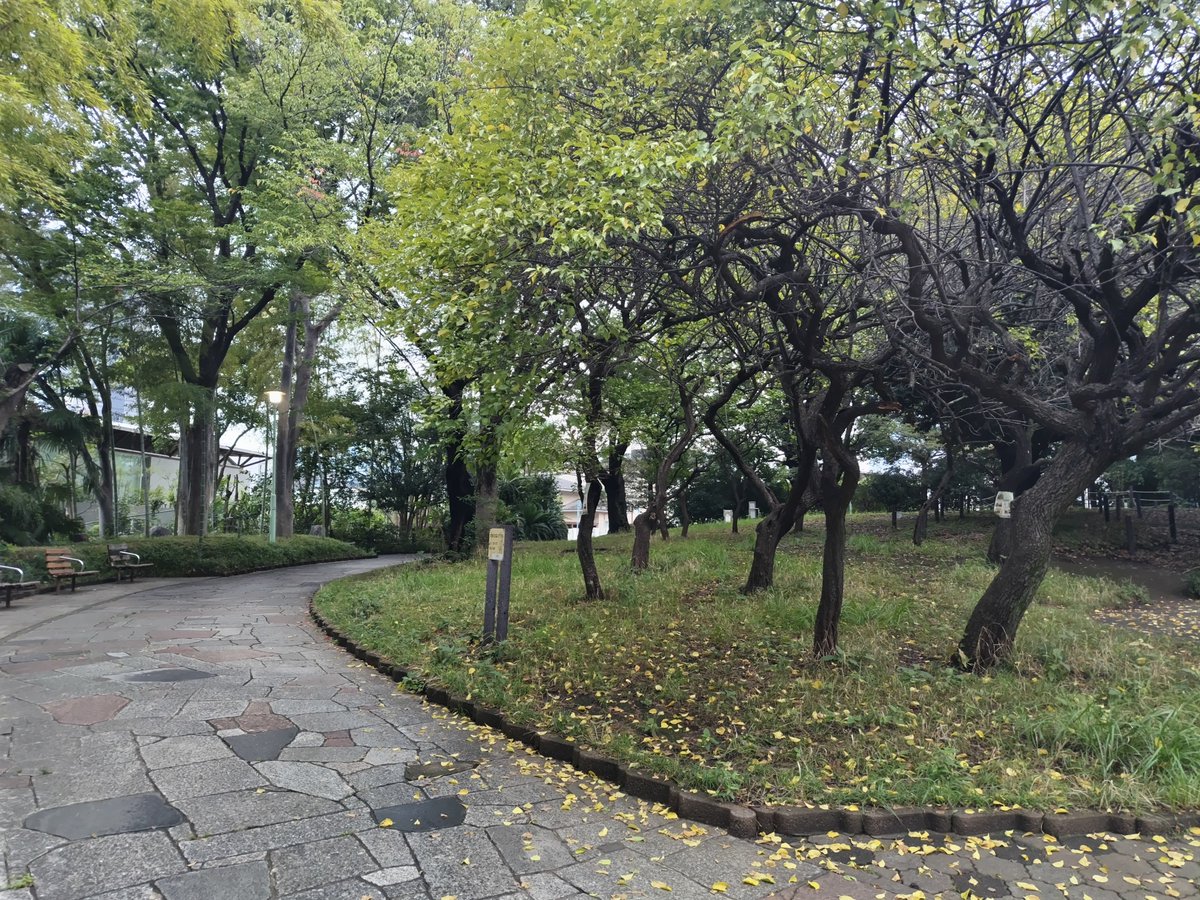 oo_Bauer's tweet photo. 散歩途中に立ち寄った西郷山公園🚶 https://t.co/7RbzrC6jYj