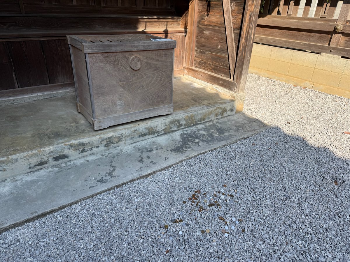 raidenjinja's tweet photo. 【雷電さま季節暦】
二十四節気：白露
「鶺鴒鳴（せきれいなく）」

白露のころ、鶺鴒が鳴き始めます。

長い尾をたんたんと上下に揺らしながら水辺を歩くこの小さな鳥は、『日本書紀』において、国生みの御業を伝えた神の使いとして記されています。鶺鴒が夫婦の道を教えた鳥と伝わるゆえ、その声は縁結びの吉兆とも言われてきました。

境内の朝、草の葉先に白露が宿り、参道の石に冷気が沁み始めます。夏の熱が退いた空気の中、鶺鴒の澄んだ声がふと聴こえてくるような頃合いです。

電気と神経を司る大雷神（おおいかづちのかみ）のお力は、張り詰めたまま緩められなかった心と身体を、静かに解きほぐすと当社は伝えます。夏に費やした命の電気を、この涼風の季節に少し補いたいと思う方があれば、どうかこの鎮守の杜へ。

境内の一隅に鎮まる末社・天満神社には、菅原道真公がお祀りされています。白露は実りへ向かう時節。学業成就や合格祈願の祈りを胸に、静かに参られる方も多い季節となりました。

#白露 #鶺鴒鳴