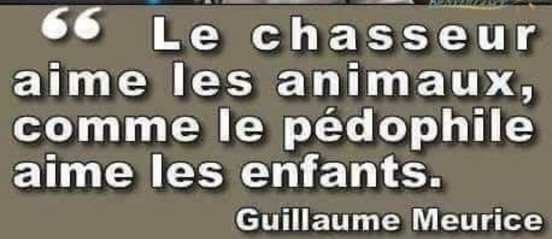 brig_dm's tweet photo. La chasse est un fléau ! 
#lachasseunproblememortel https://t.co/Pv9dExTQcu