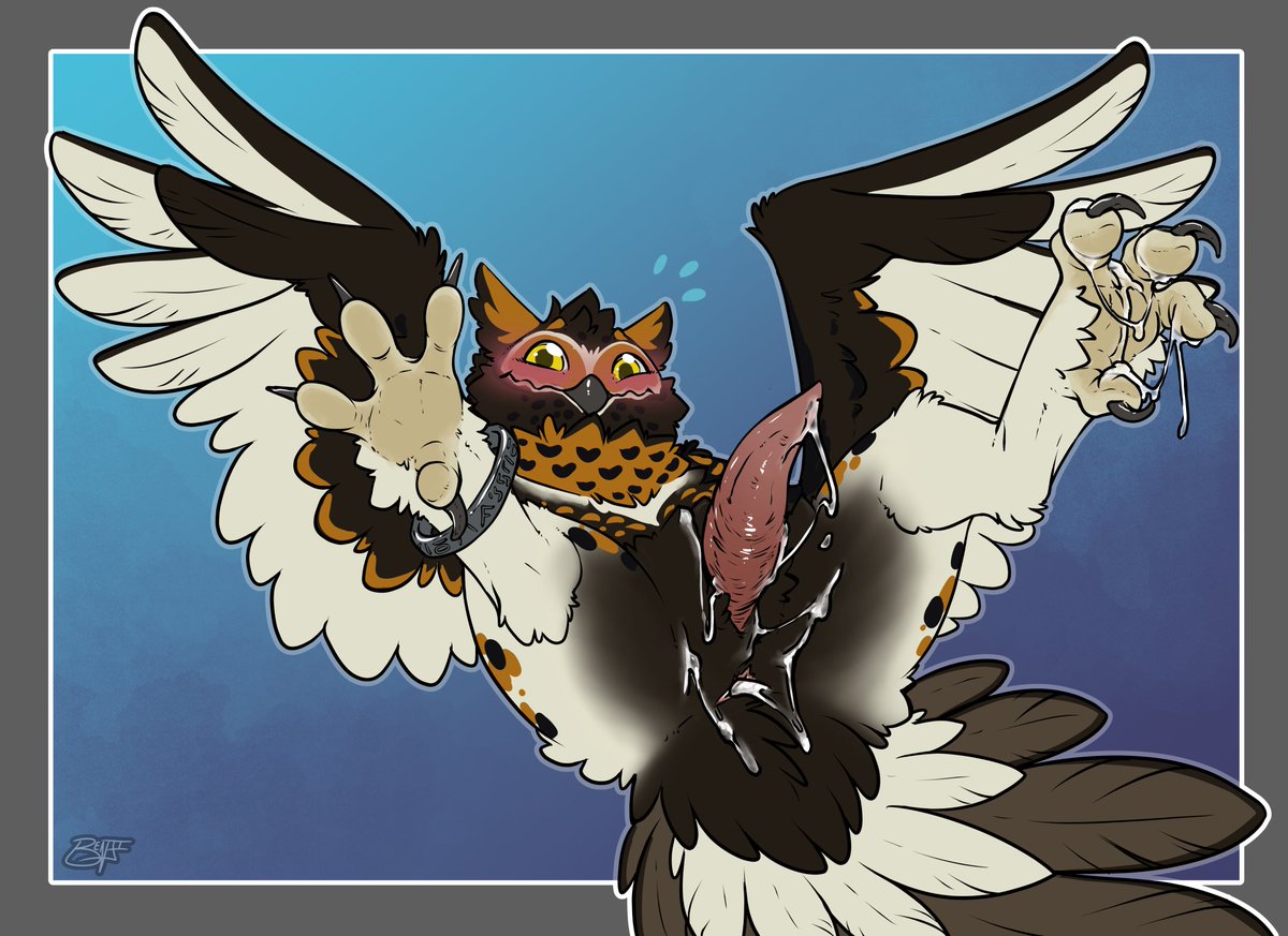 BenjiboiAD's tweet photo. lets do a lil free art chance
this time it'll be with my owl, Poji!

AVIANS ONLY FOR THIS ONE!

FOLLOW THE INSTRUCTIONS IN NEXT POST

NOT FIRST COME FIRST SERVE, NOT A RAFFLE

he bottoms, tops, doms, subs, etc
male, female, feral, anthro, doesn't matter! https://t.co/WKVGAx5q8A